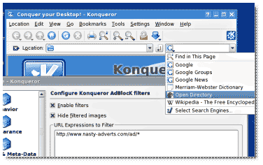 Konqueror with the adblock and searchbar features