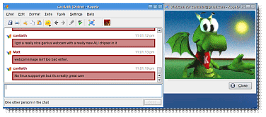 Kopete with a MSN webcam