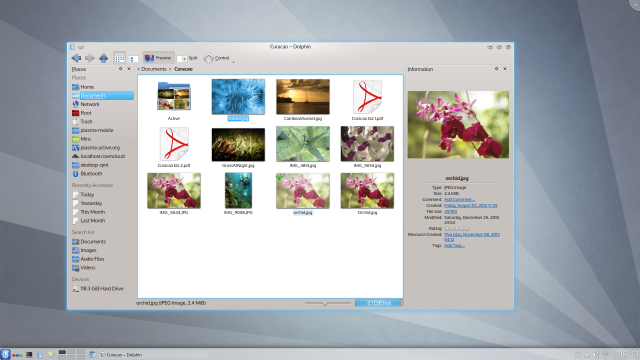 Plasma Desktop with the Dolphin file manager
